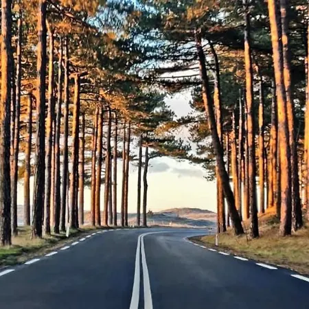 Apartmán Prinsenhof # Zeventien *