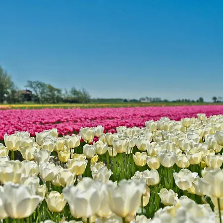 Prinsenhof # Zeventien Μπέργκεν