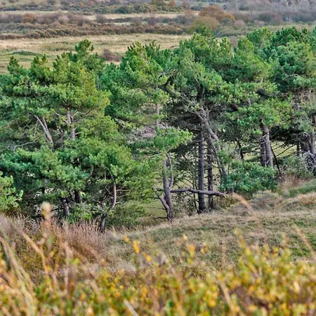 Apartmán Prinsenhof # Zeventien